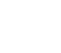 Through Hole Connector